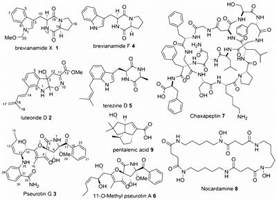 Dual Induction of New Microbial Secondary Metabolites by Fungal Bacterial Co-cultivation